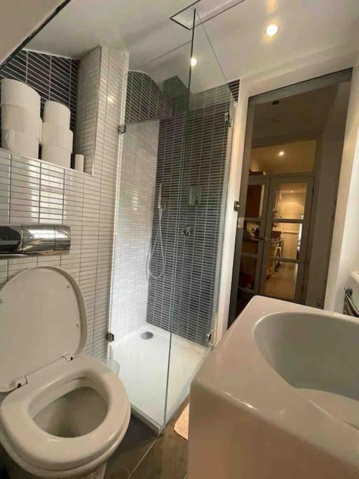Large Studio Flat In Kensington Лондон Екстер'єр фото